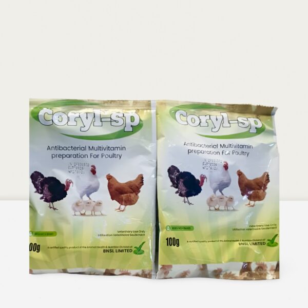 Coryl sp