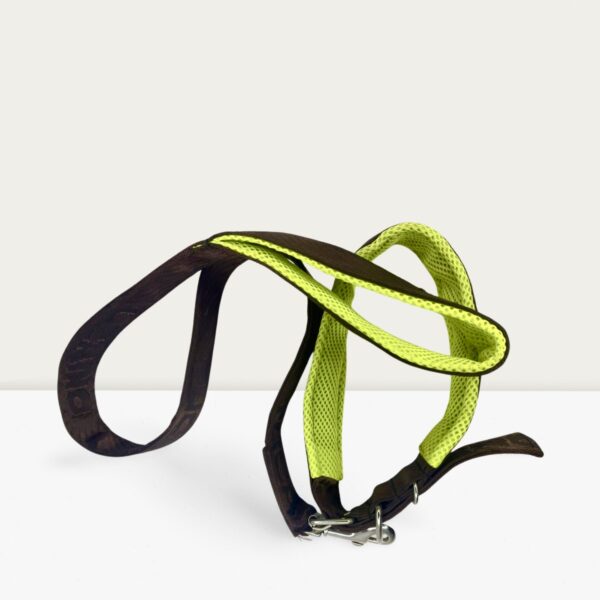 Big Padded Leach and Collar