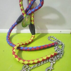 Wooven Leach and Chain