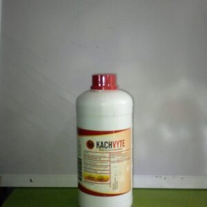 KACHVYTE (1L)