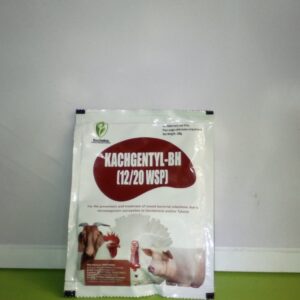 KACHGENTYL-BH (12/20 WSP)